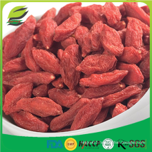 2016 Fresh goji berries for goji berry wine